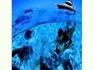 13567