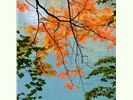 15305