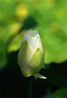 102722